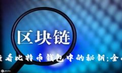 如何查看比特币钱包中的